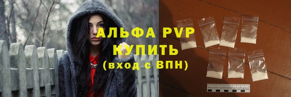 PSILOCYBIN Беломорск