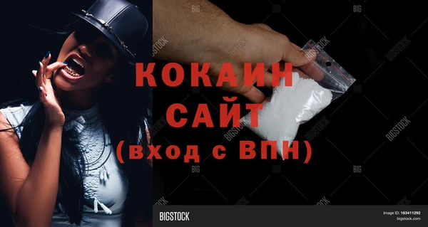 PSILOCYBIN Беломорск