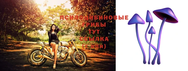 PSILOCYBIN Беломорск